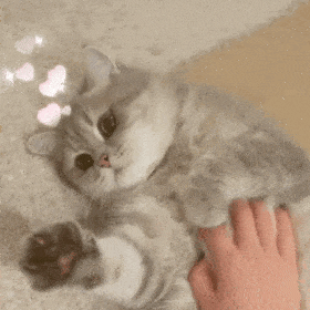 640 (64).gif