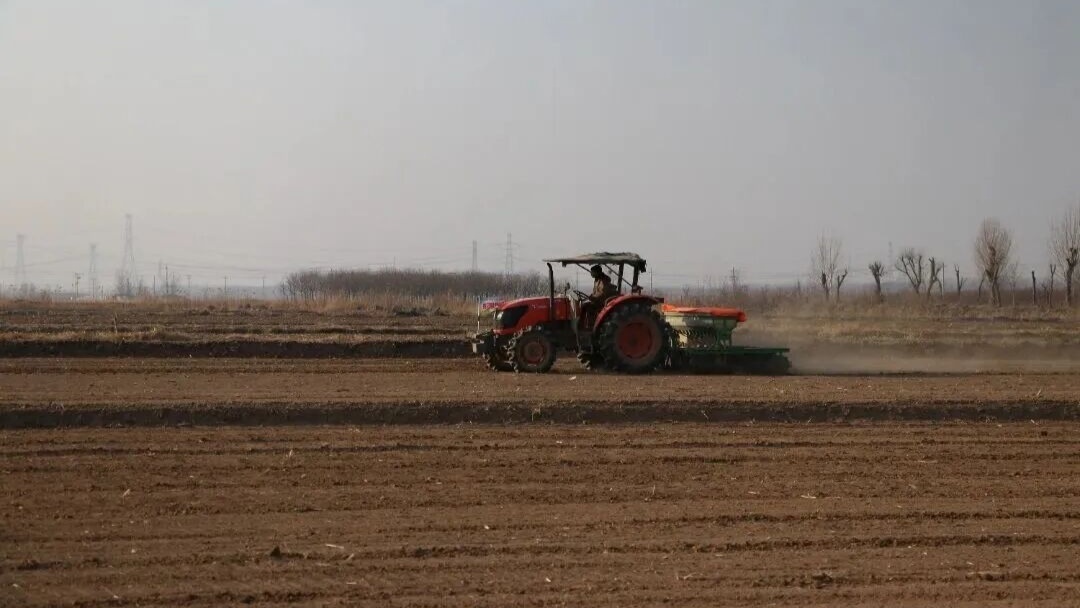 武清区春耕进行时(央广网发 武清区供图)