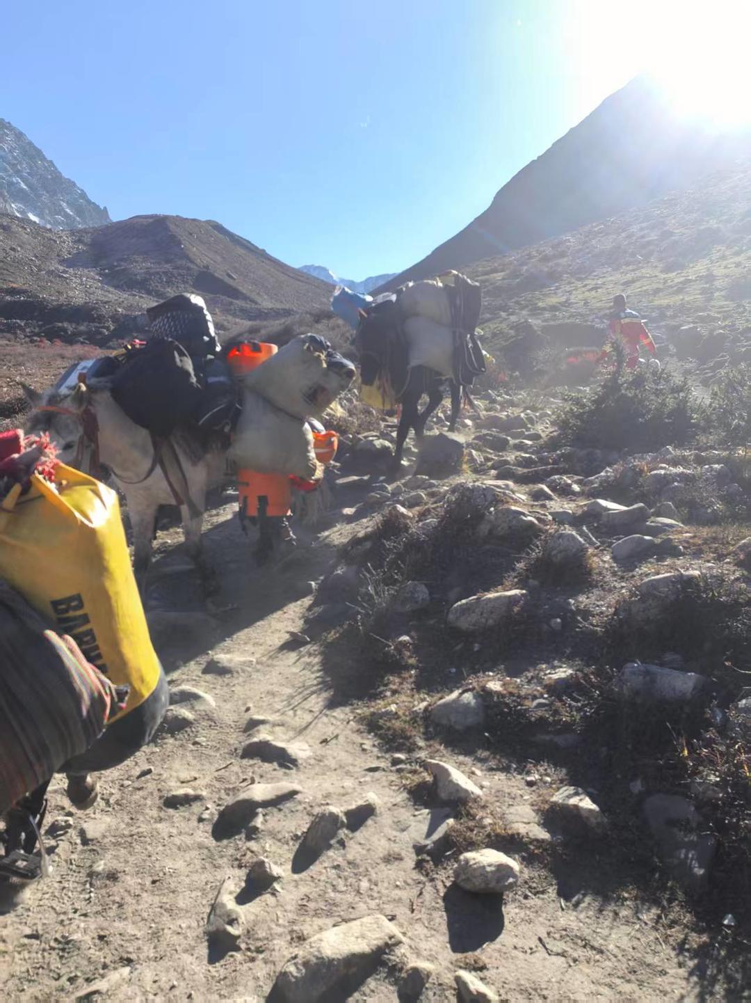 微信图片_20261031171256_250_87.jpg