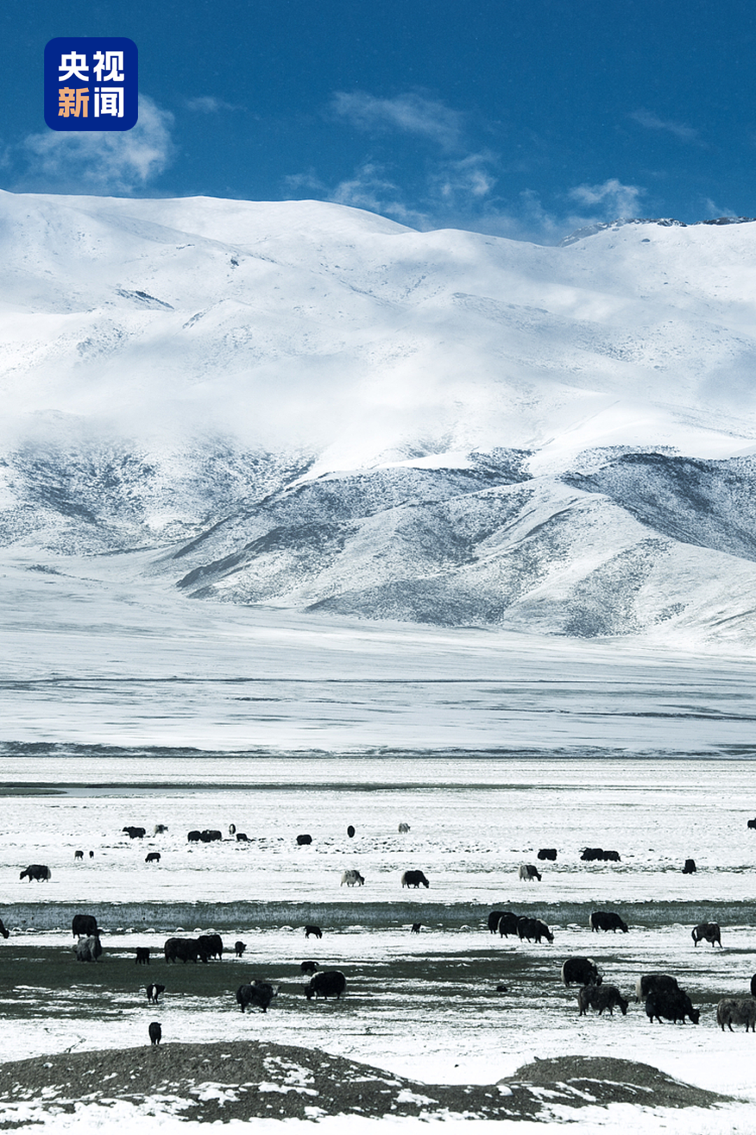 视频丨“不是打穿天山容易，而是天山那头有人民！”