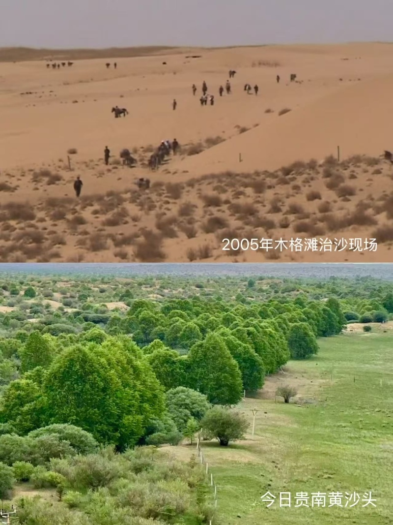 贵南治沙区今昔对比图。上图为贵南县委宣传部供图,下图为人民网记者甘海琼拍摄