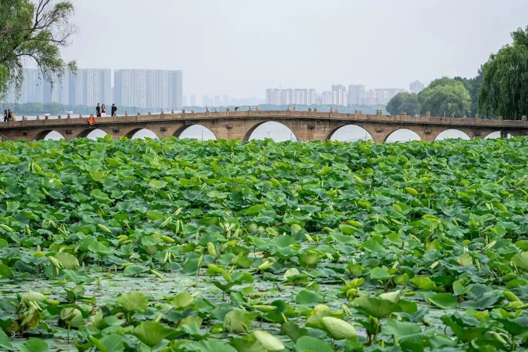 3-行春桥 (1).jpg