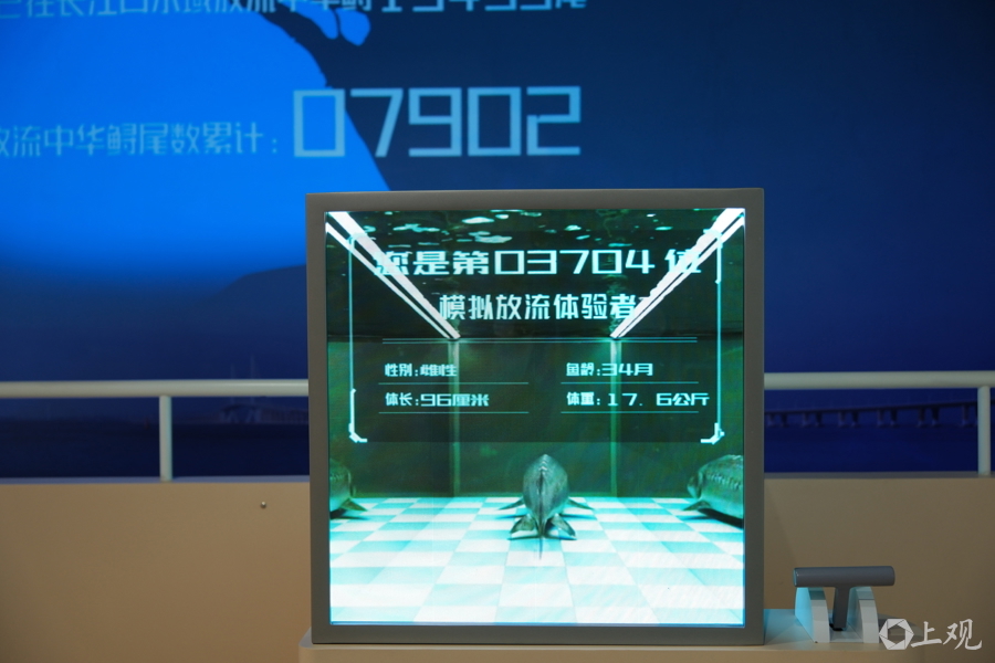 水野中心科普馆内的模拟放流 郜阳 摄