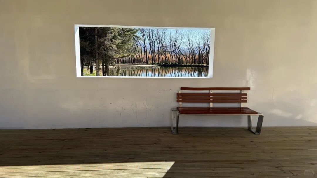 （图/揭晓亚🦋）