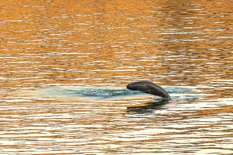 2025��1��5�գ����������ڳ����˲����ް����θ���̤��ǰ�У����˻����衣�»������ Ф�վ� ��