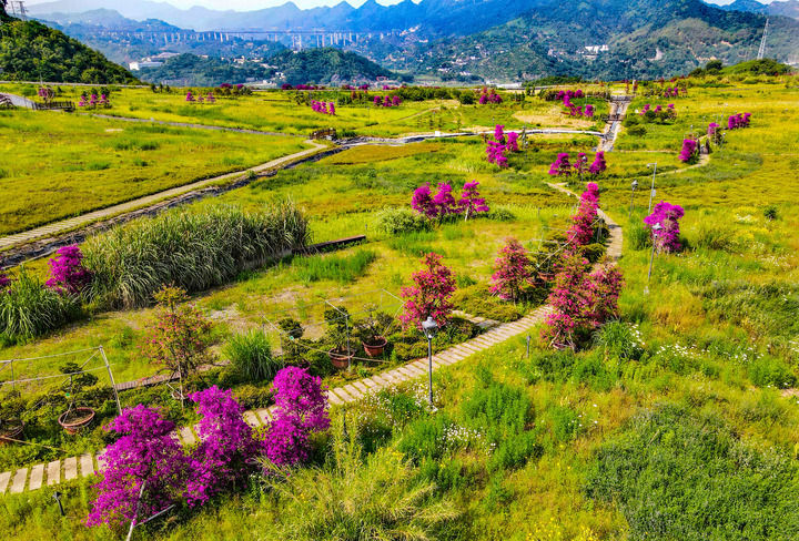 这是2025年5月19日拍摄的重庆涪陵石龙山公园(无人机照片)。新华社发(何乾健摄)