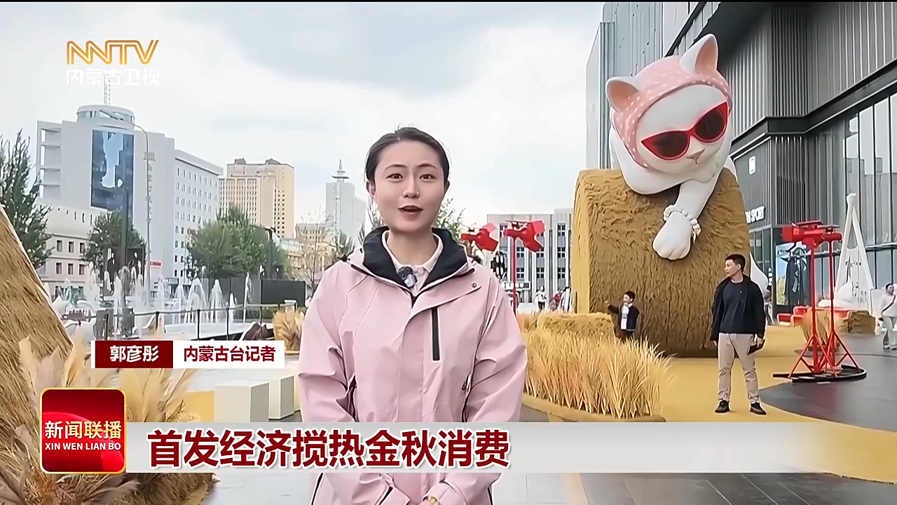 视频截图