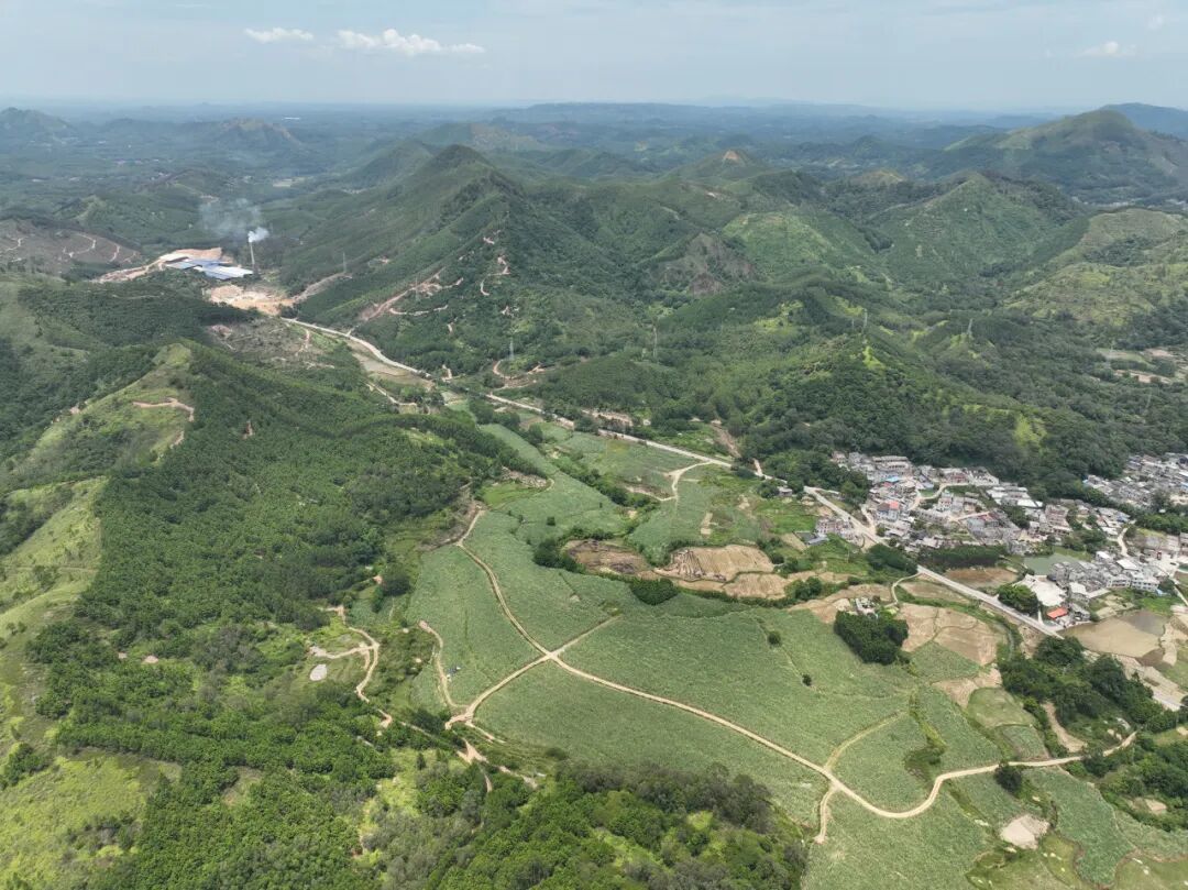 2022年7月30日,位于钦州市灵山县旧州镇石桥村委牛营村段,马道枢纽建设前原貌。