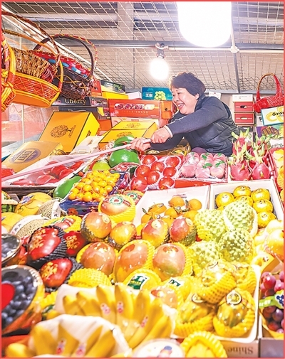 年货盈门 物阜民丰（新时代画卷）