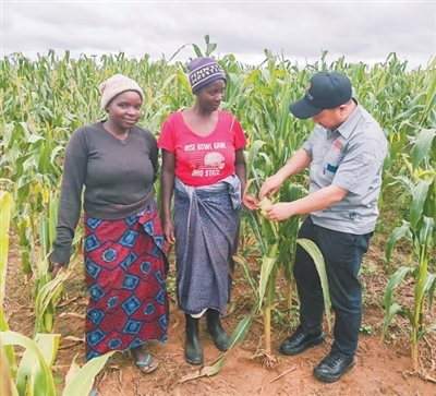 魏健疆（右一）向当地农户传授种植经验。　　黄晓东摄