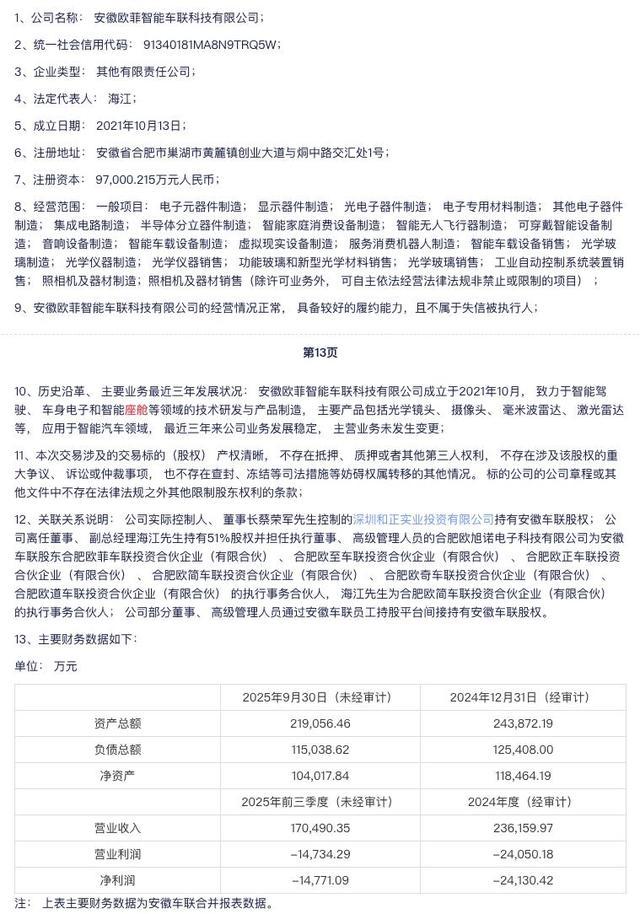 安徽欧菲智能车联经营信息公示文件页面