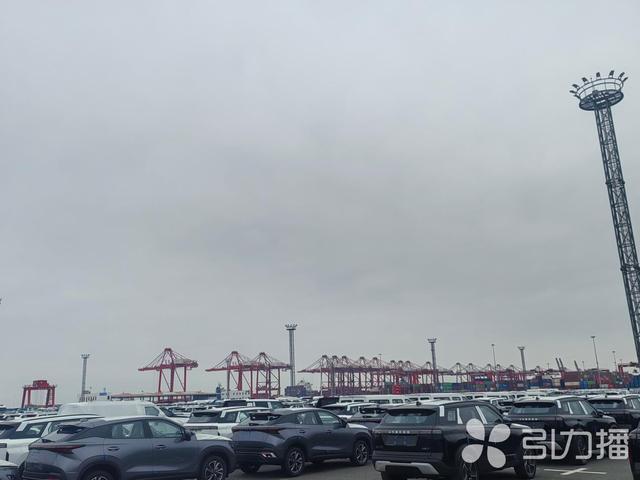 海通(太仓)汽车码头的汽车堆场
