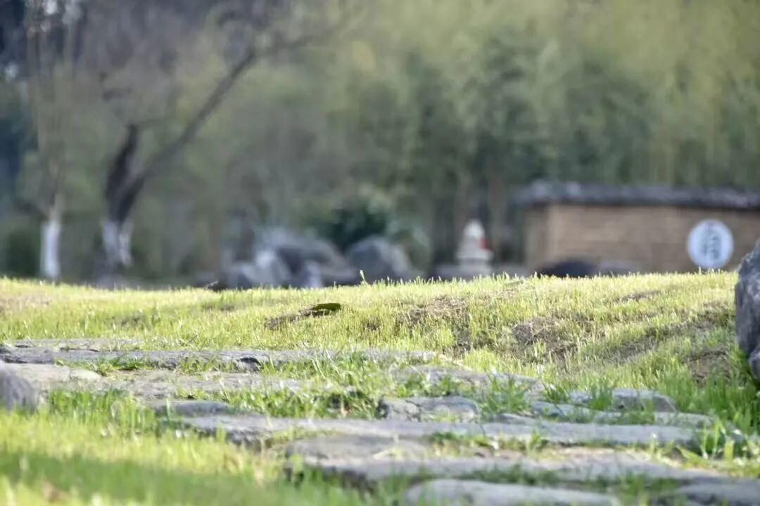 一位年轻法师从舒适区突围的心路历程：信众听“疲”了，我也讲“空”了