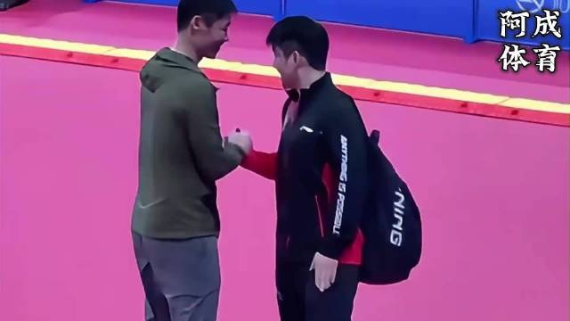 王励勤打了快一年电话，樊振东为什么还在德国？