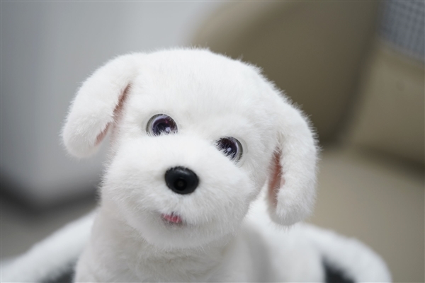 会撒娇能成长!科沃斯毛团陪伴机器人图赏