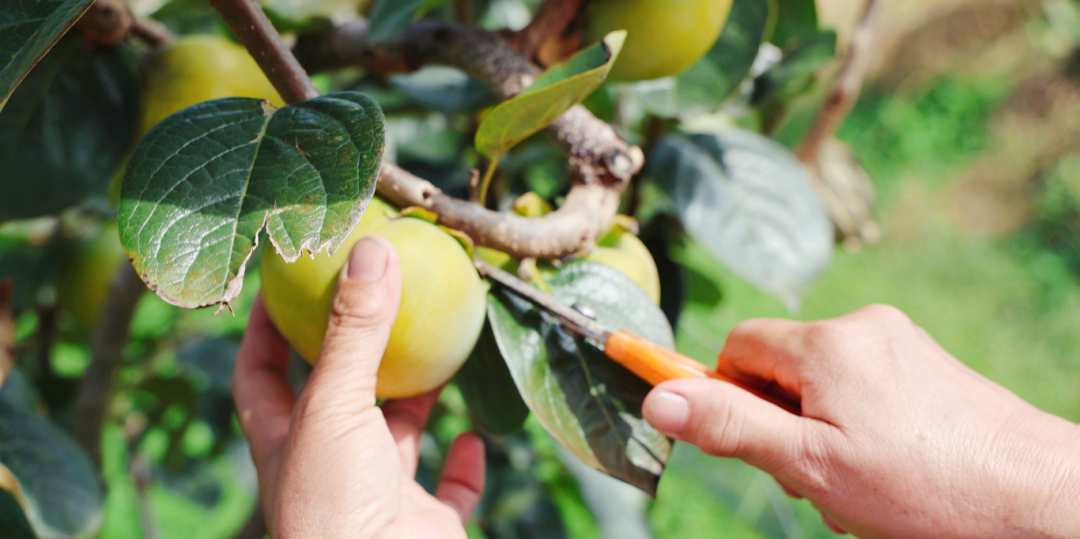 50eeb5df5529f574e83d21532dd7a757.png