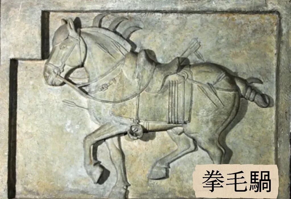 为什么马到了就会成功?