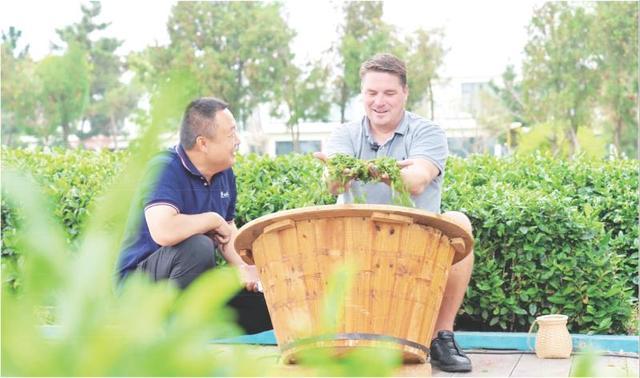 在云过山丘茶旅园体验炒茶
