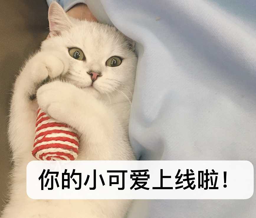 微信截图_20190315142126.png