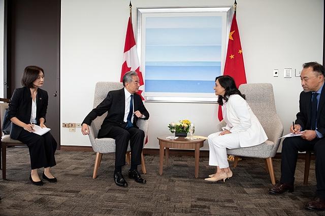 王毅会见阿南德