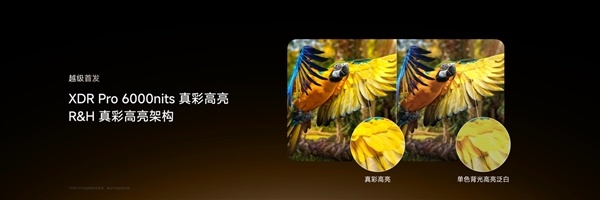 海信电视E7S Pro+正式发布：首发杜比视界第二代MAX 9999元起