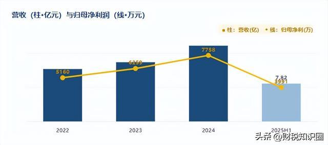 ▍图2 营收与净利润走势(2025H1为半年度,未年化)