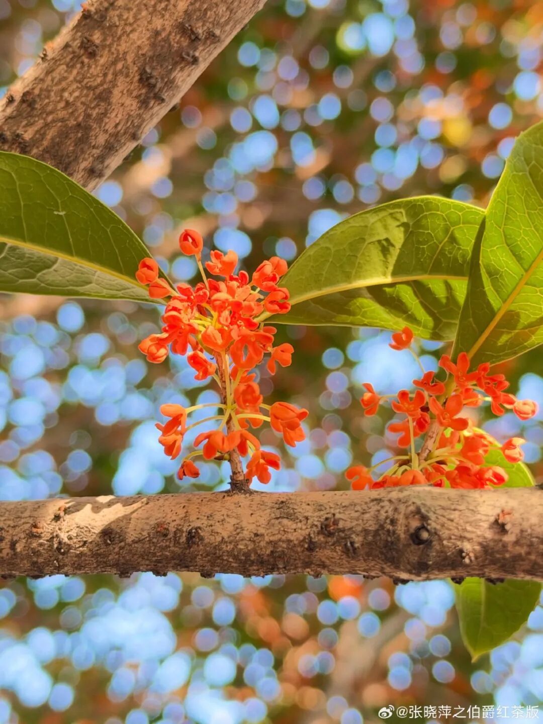 6412bd28gy1ii1pyiykn7j23b04eo4qs.jpg