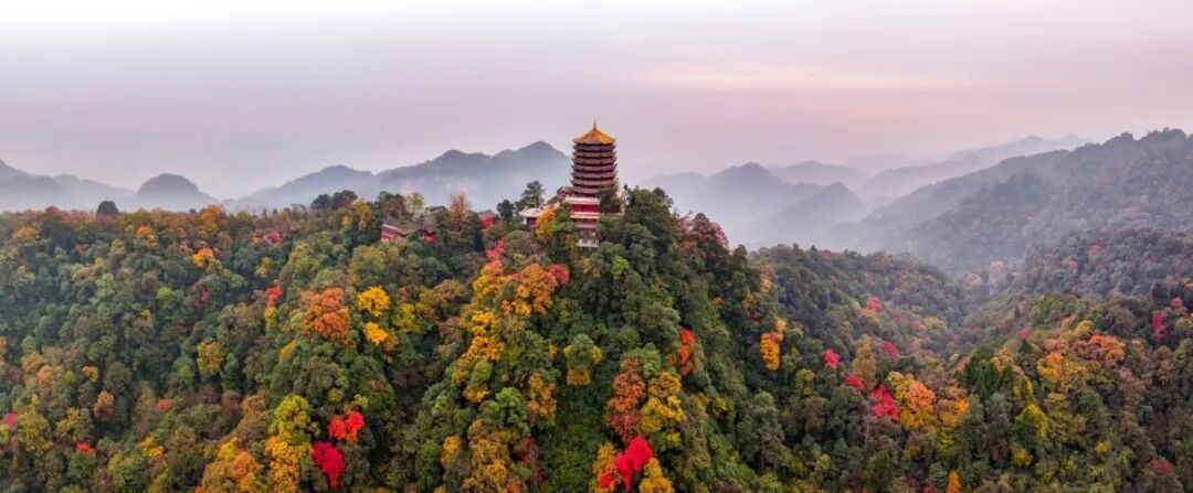 微信图片_20261015202050_2145_146.jpeg