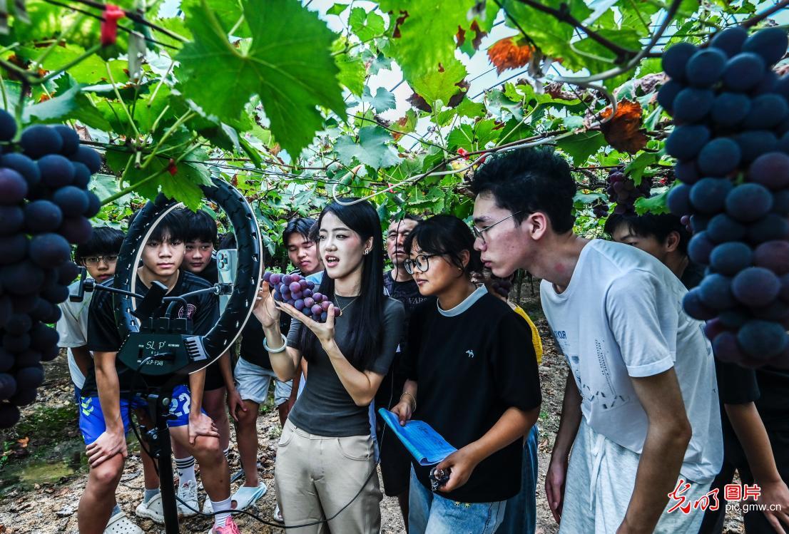 【职引未来】秋招正当时 多方携手护航学子就业
