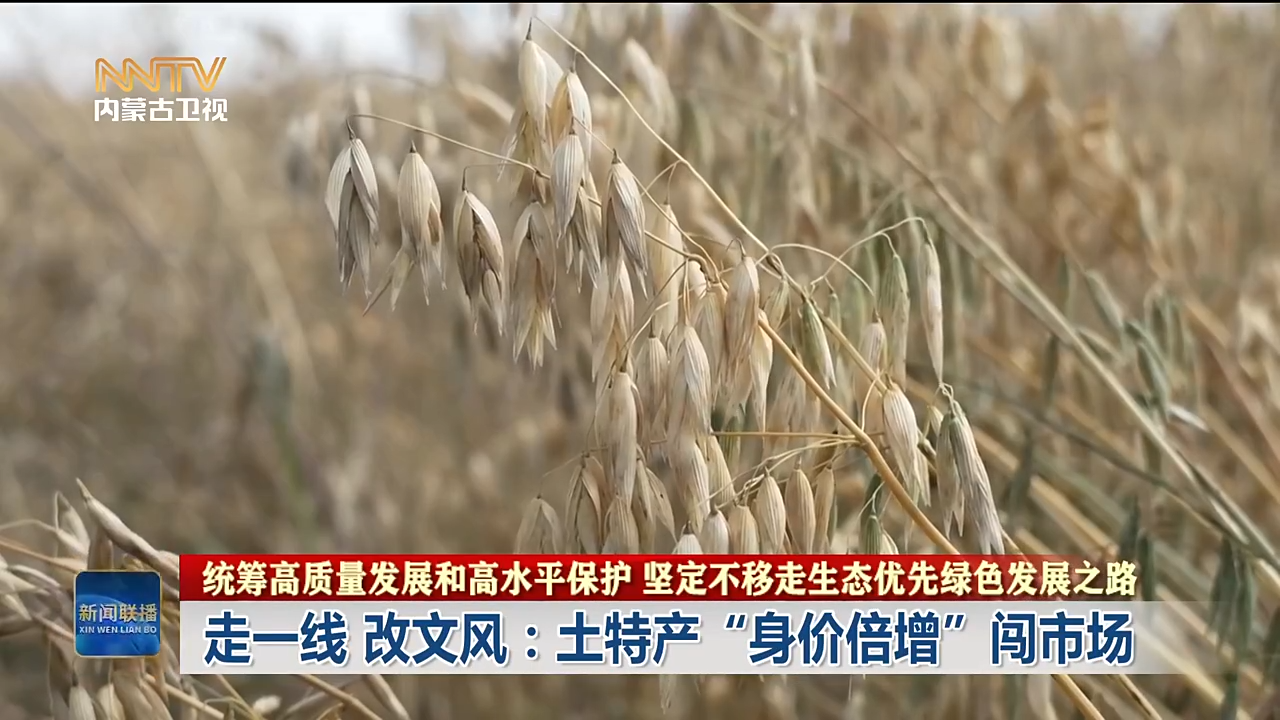 视频截图