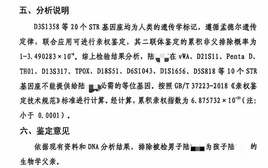 亲子鉴定报告截图 陆女士提供