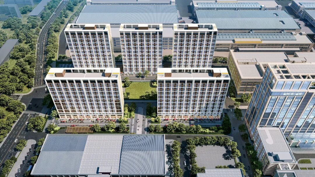 金发南侧鸟瞰.jpg