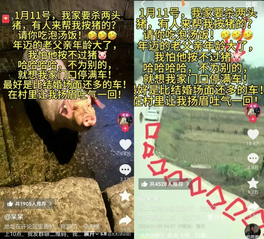 “呆呆”的账号视频截图