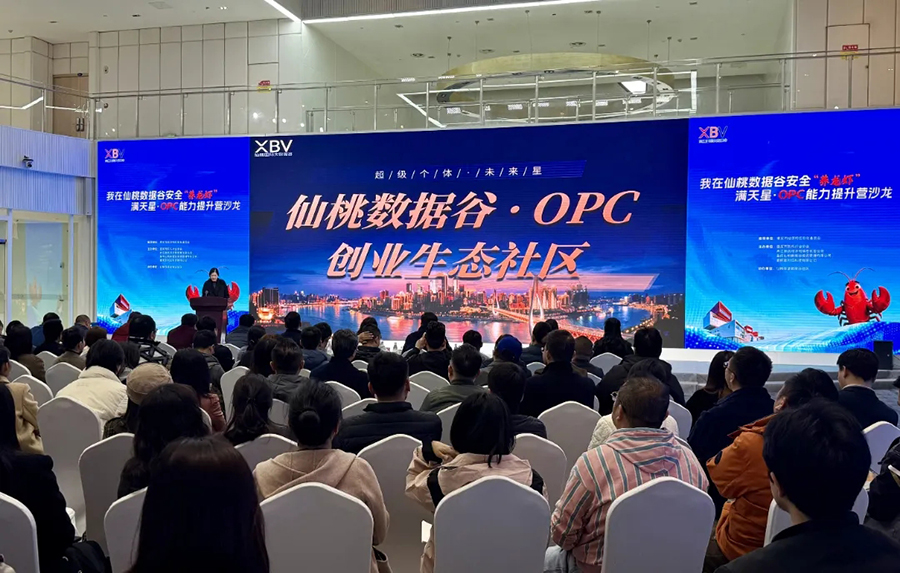 重庆市两江新区举办的OPC能力提升营活动，嘉宾分享AI创业实践经验。新华网发