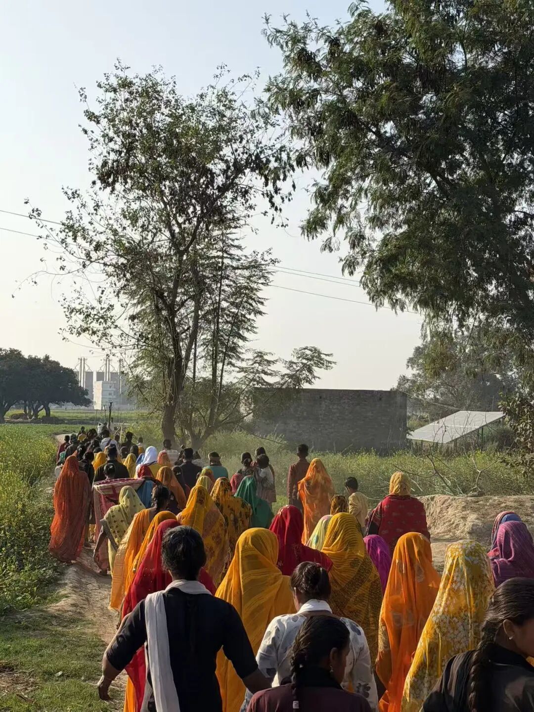 印度农村的婚礼仪式。(图/姚璐 摄)