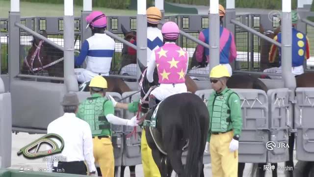 金之霸产驹ムルソー夺天蝎锦标首冠