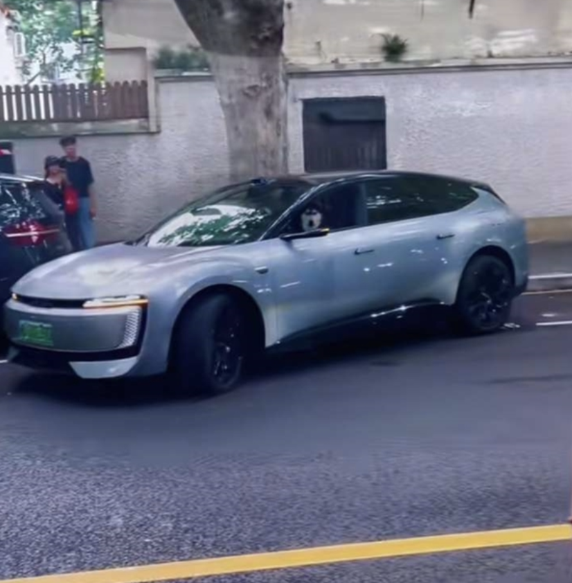▲ 网传“宠物狗坐主驾自动泊车”视频片段