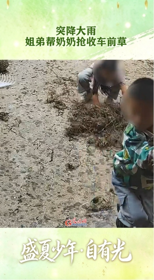 @同学们,奔赴新学期|那些细碎温暖的瞬间,拼凑出盛夏少年的模样