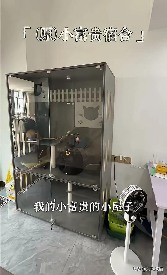 图片来源于网络