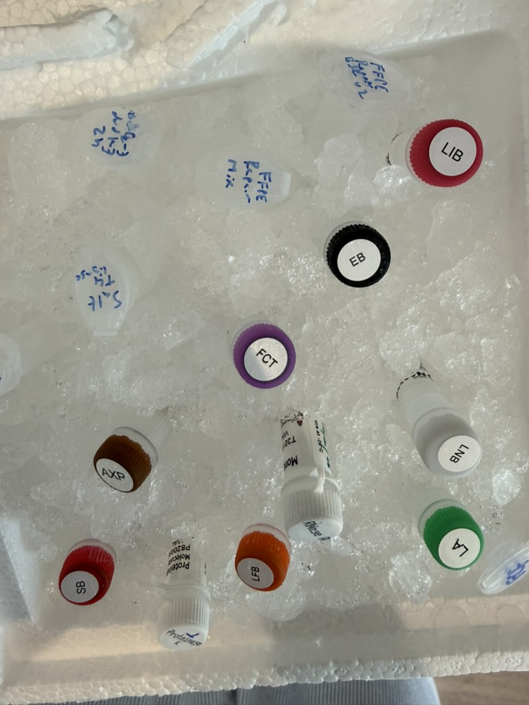 生物圈震撼:00后小哥在客厅完成基因组测序,27亿美金壁垒塌了