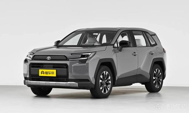 试驾一汽丰田RAV4荣放：2.0L电混双擎，经济耐用操控轻松-有驾