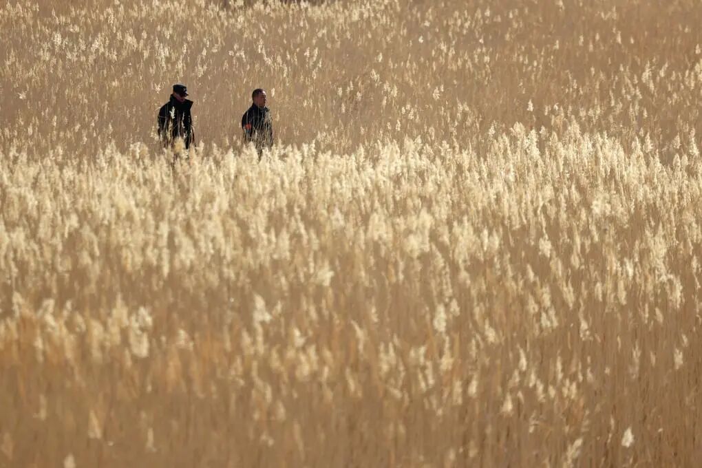 这是吴兴东（右）和同事孙海隆在保护区内巡护　新华社记者　陈斌　摄
