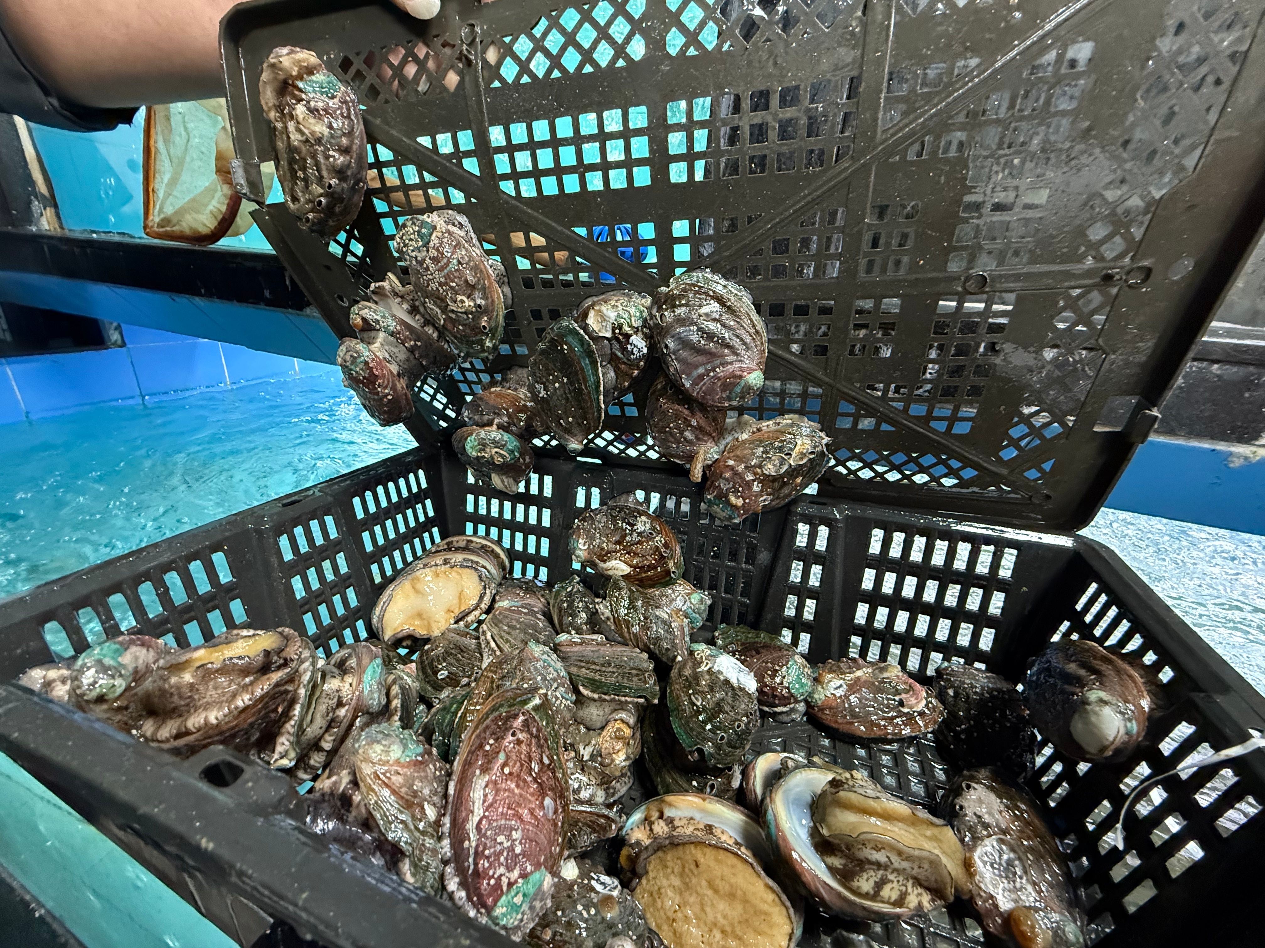 微信图片_20260106202400_1415_329