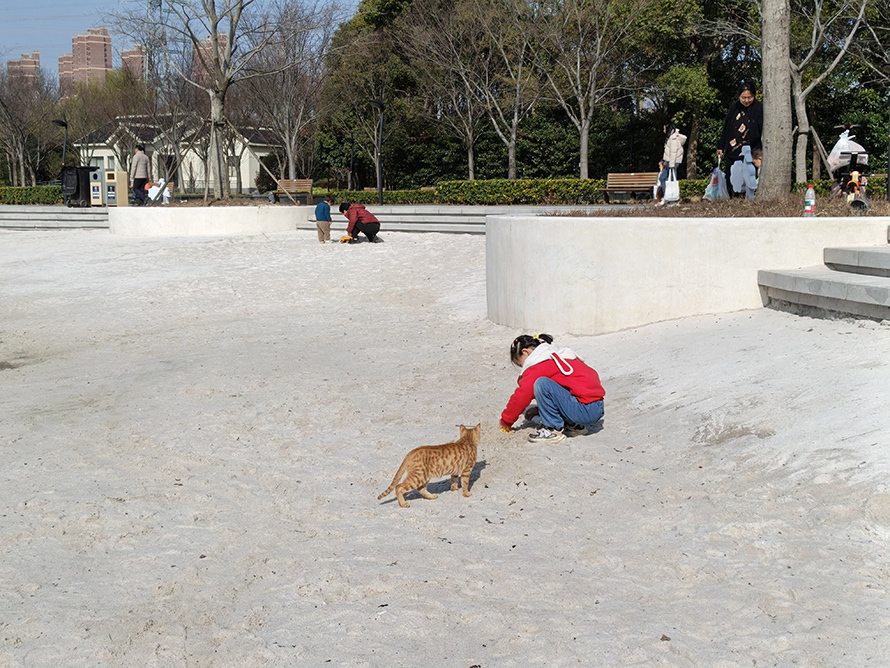 IMG_20260321_085513_897 拷贝.jpg