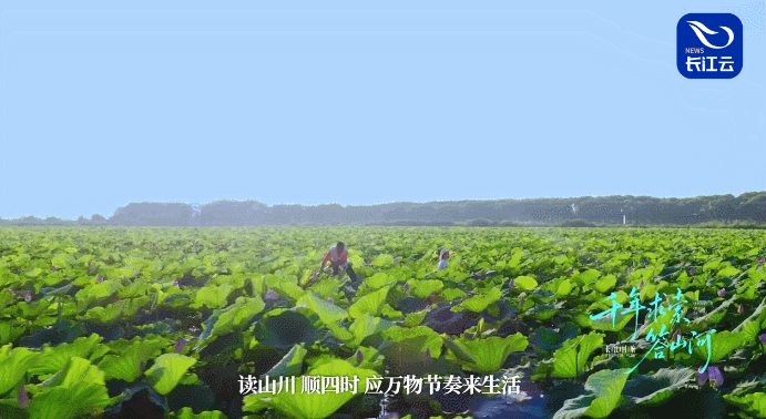 长江回响丨千年求索答山河