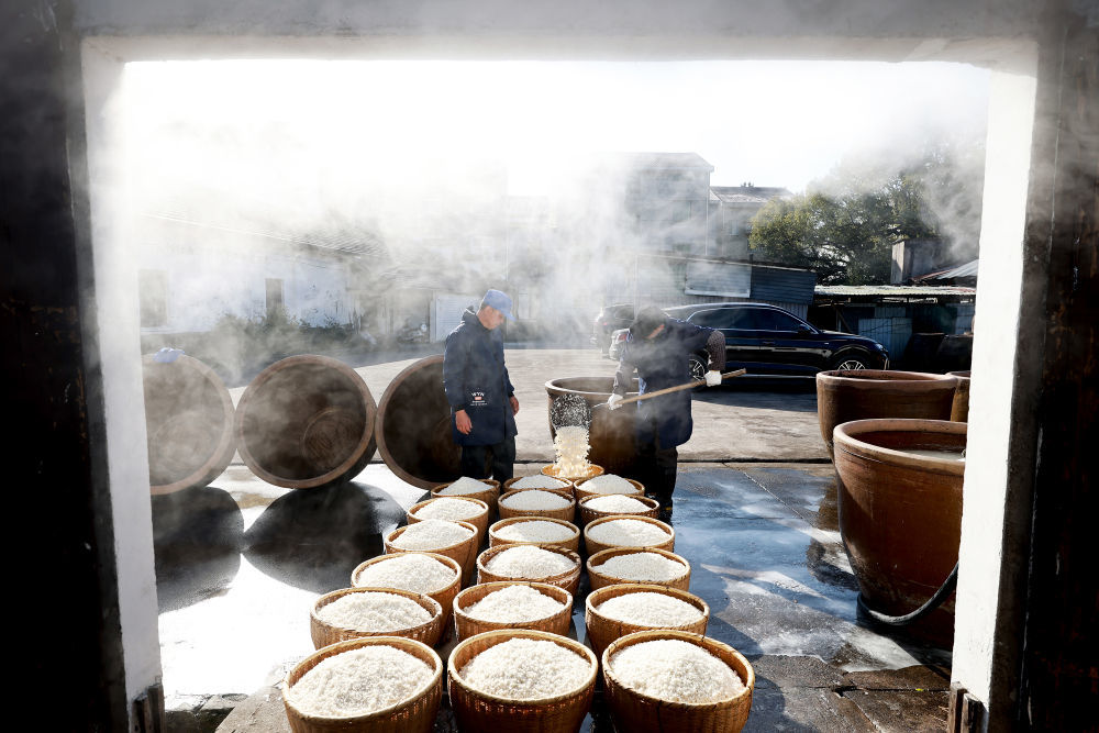 ↑1月11日,在浙江省东阳市马宅镇屠梁村钟山自然村,酿酒师傅在捞米。新华社发(胡扬辉摄)