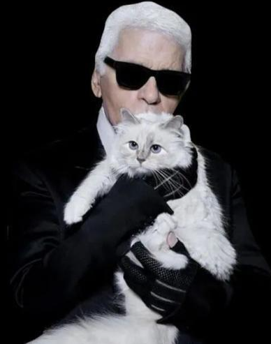 ▲拉格斐和他的爱猫舒佩特