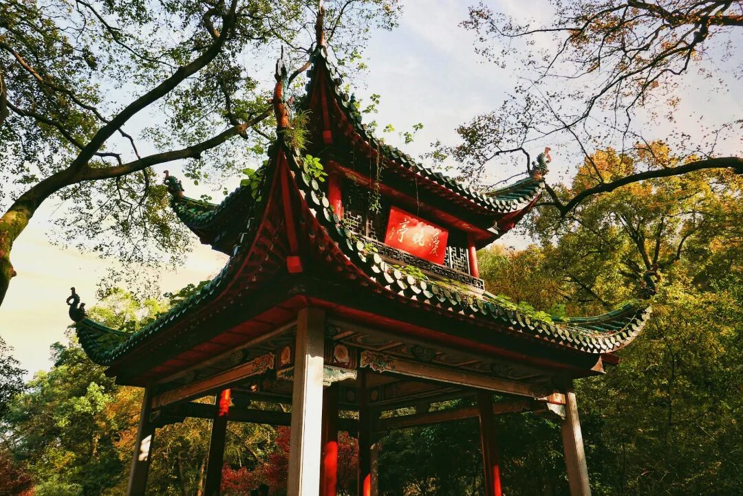 摄图网_501178951_经典建筑爱晚亭_(企业商用).jpg