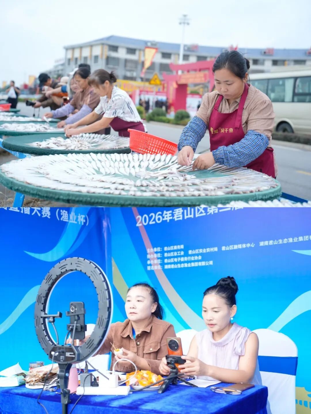 d24fd3fd4a2243046ee819debbca5251.jpg