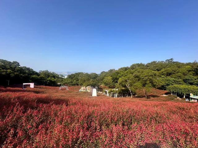 图源:厦门山海健康步道